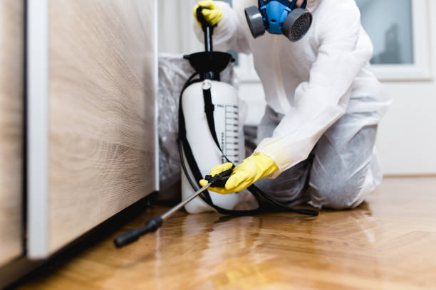 Best Emergency Pest Control  in Port Barre, LA