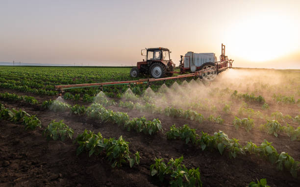 Best Commercial Pest Control Services  in Port Barre, LA