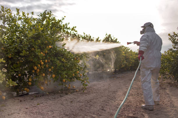  Port Barre, LA Pest Control Pros
