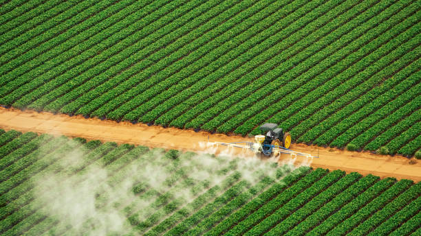 Best Pest Prevention Services  in Port Barre, LA