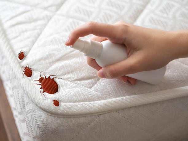 Best Flea Control Services  in Port Barre, LA