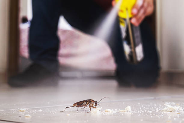Best Pest Removal Services  in Port Barre, LA